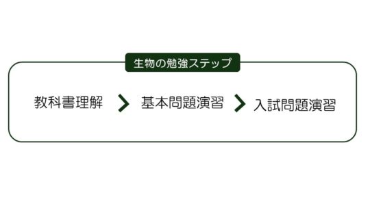 生物 生物基礎 完全版勉強法 点数が取れる勉強法を伝授